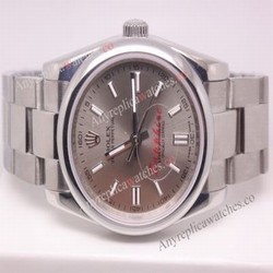 NEW Replica Rolex Oyster Perpetual Watch SS Gray Dial
