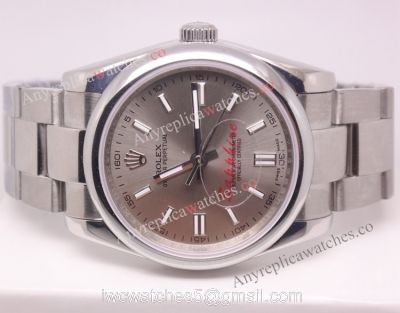 NEW Replica Rolex Oyster Perpetual Watch SS Gray Dial