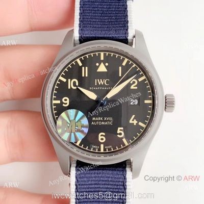M+ Factory Swiss IWC Mark XVIII Replica Watch Titanium 40mm